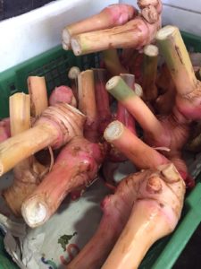 Galangal | Coriander Lime Kitchen | Asian Cooking Classes Taupo