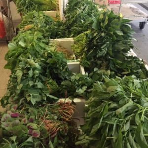 |Local Produce | Coriander Lime Kitchen | Asian Cooking Classes Taupo