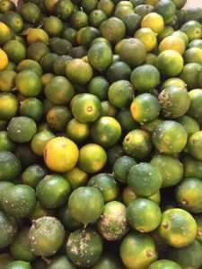 Calamansi Limes | Coriander Lime Kitchen | Asian Cooking Classes Taupo
